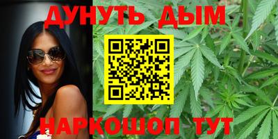 сатива Новоалександровск