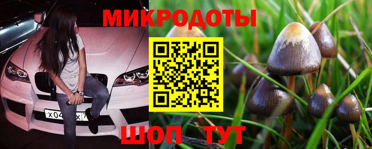 Ангарск  Галлюциногенные грибы MAGIC MUSHROOMS  Вход с VPN  Псилоцибиновые грибы прущие грибы 